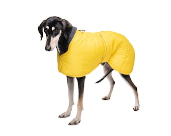 Greyhound Lurcher & Whippet Waterproof Quilted Coat, Hound Jacket, Fully lined, Greyt Sweaters. Sunny Yellow with grey faux sheepskin lining