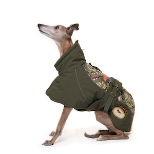 Op de afbeelding: Een grijze en bruine hond die een groene, camouflage-gekleurde hondenjas draagt met een bruine band en een patch met een vogellogo. De hond zit op een witte achtergrond.