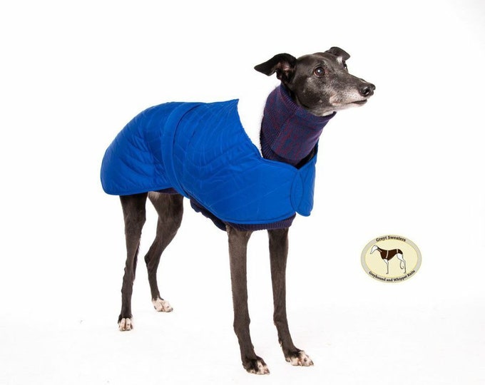 Greyhound & Lurcher Waterproof Quilted Coat, Hound Jacket, Fully lined, Greyt Sweaters. Royal Blue with Cream faux sheepskin lining