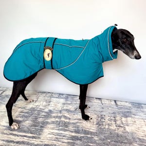 Greyhound, Lurcher & Whippet Soft Shell, Mid-Weight Jacket, Deep Teal, NEW IN!