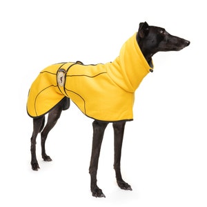 May include: A black dog wearing a yellow fleece dog coat with black trim. The coat has a high neck and a zipper closure.