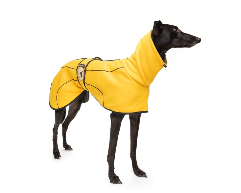 May include: A black dog wearing a yellow fleece dog coat with black trim. The coat has a high neck and a zipper closure.