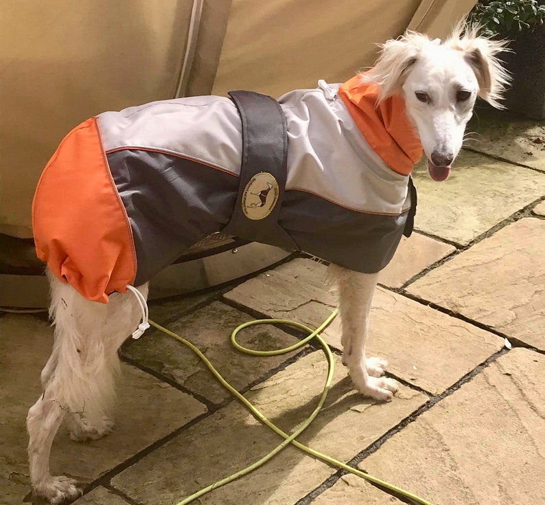 Greyhound Lurcher & Whippet Lightweight Waterproof Rain Coat/Jacket with chest bib, fully lined, Greyt Sweaters. Orange/Grey Colour image 5