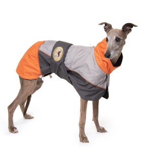 May include: A greyhound dog wearing a dog coat. The coat is primarily grey and orange, with a dark grey trim and a circular patch on the back. The dog is standing on a white background.