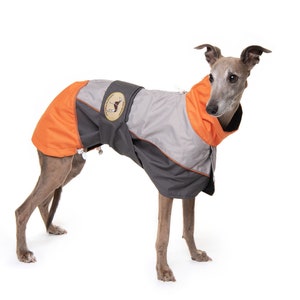 Greyhound Lurcher & Whippet Lightweight Waterproof Rain Coat/Jacket with chest bib, fully lined, Greyt Sweaters. Orange/Grey Colour image 1