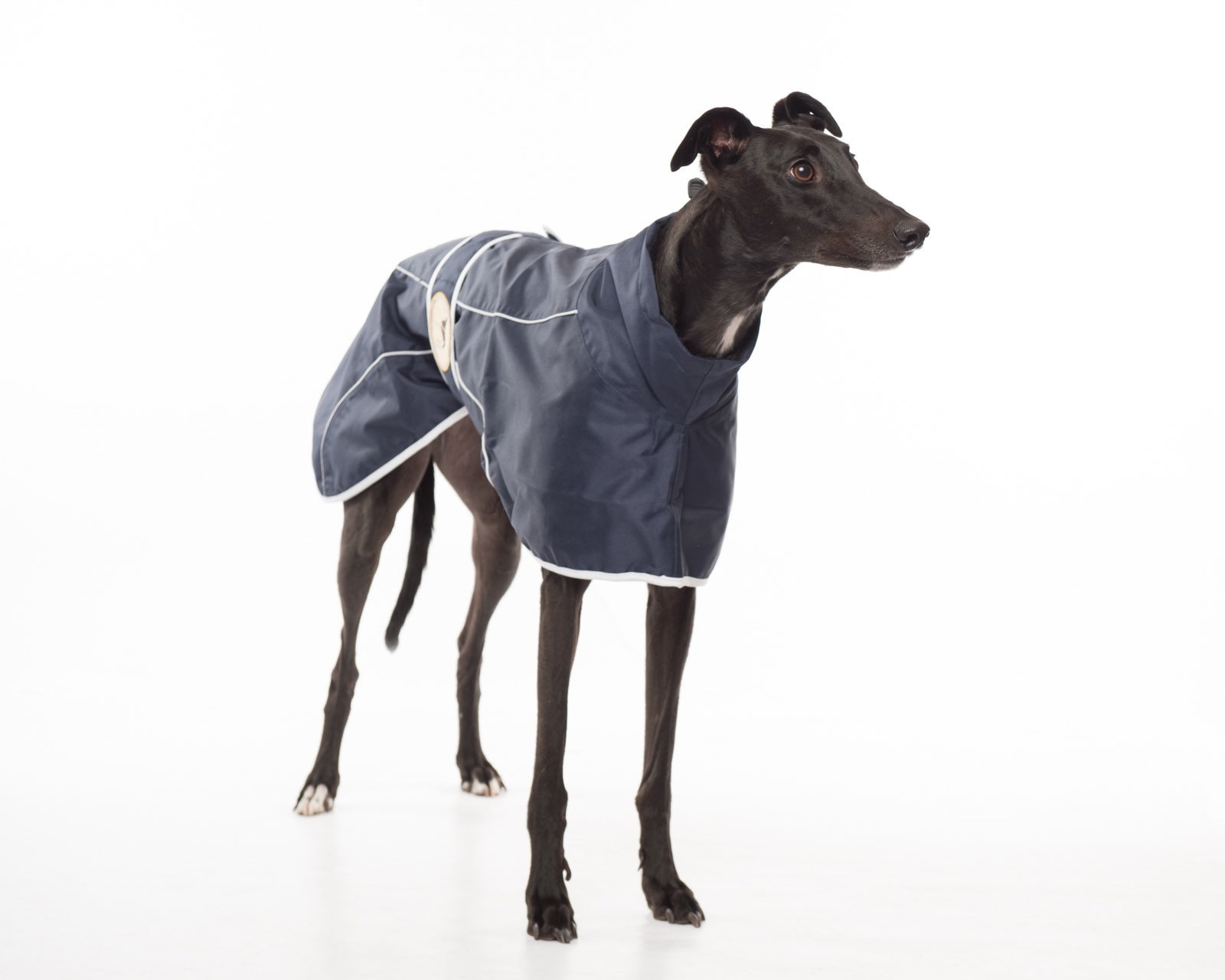 whippet rain mac