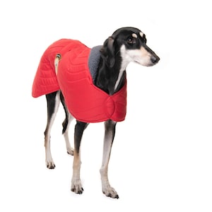 May include: A black and tan dog wearing a red quilted dog coat with a black fleece lining around the neck.