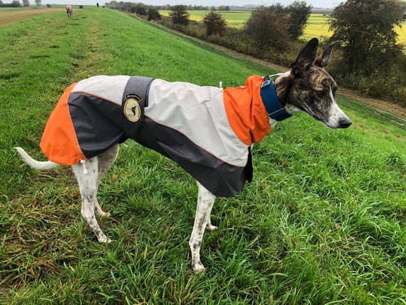 Greyhound lightweight raincoat best sale