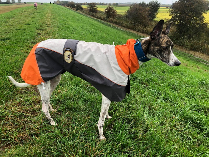 Greyhound Lurcher & Whippet Lightweight Waterproof Rain Coat/Jacket with chest bib, fully lined, Greyt Sweaters. Orange/Grey Colour image 10