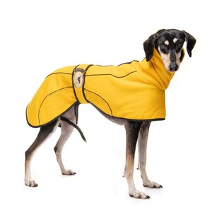 May include: A black and tan dog wearing a yellow fleece dog coat with black trim. The coat has a small patch on the back with a dog silhouette.