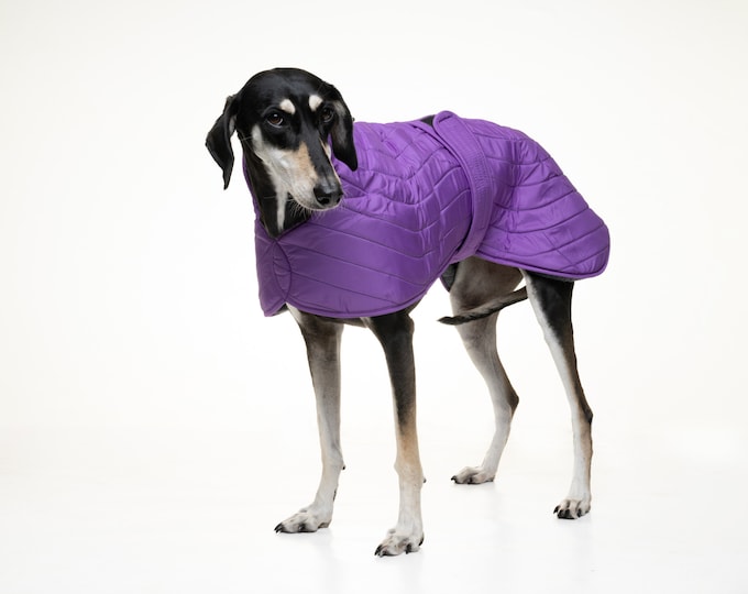 Greyhound Lurcher & Whippet Waterproof Quilted Coat, Hound Jacket, Fully lined, Greyt Sweaters. Purple with grey faux sheepskin lining