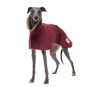 Könnte beinhalten: Ein grauer Italienischer Windhund trägt einen burgunderfarbenen gesteppten Hunde-Mantel mit braunem Pelz-Futter. Der Mantel hat einen Aufnäher auf der Rückseite mit einer braunen Hundesilhouette.