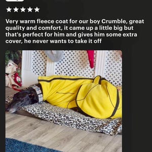 May include: A black and white dog wearing a yellow fleece coat with black trim. The dog is lying on a leopard print bed.
