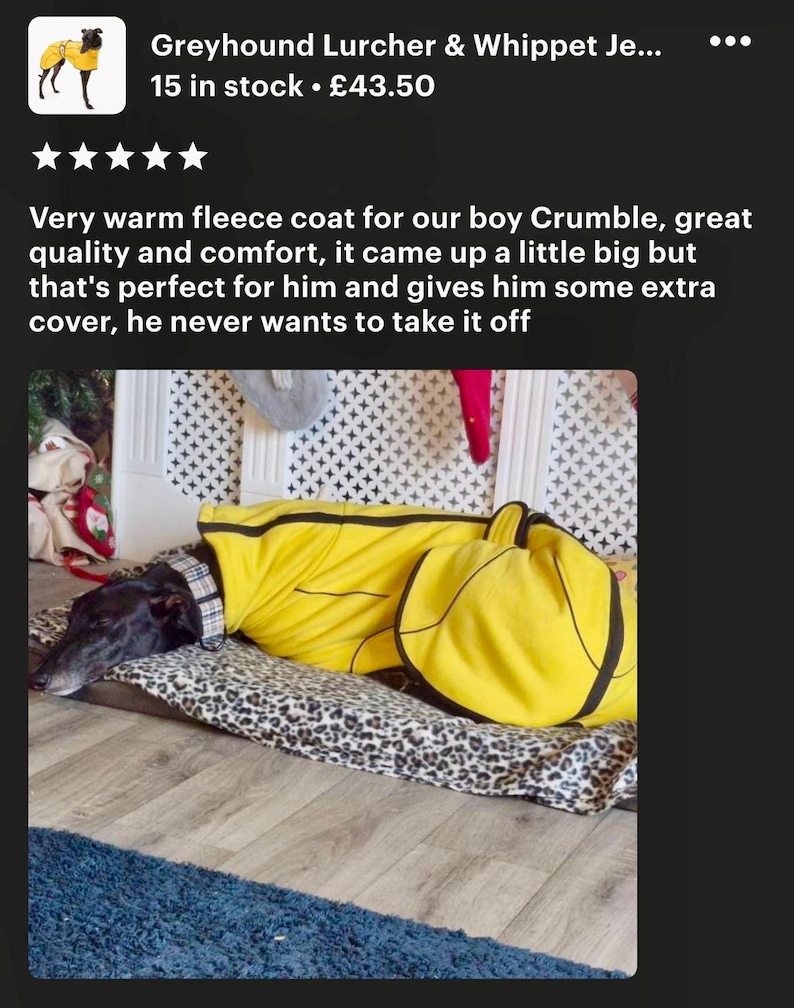 May include: A black and white dog wearing a yellow fleece coat with black trim. The dog is lying on a leopard print bed.