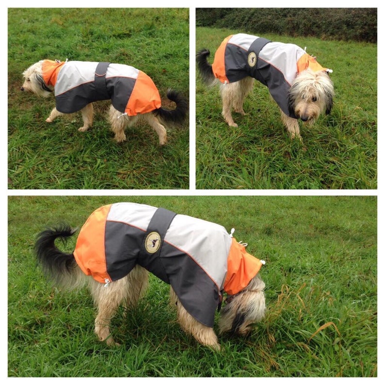 Greyhound Lurcher & Whippet Lightweight Waterproof Rain Coat/Jacket with chest bib, fully lined, Greyt Sweaters. Orange/Grey Colour image 6