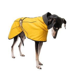 May include: A black and brown dog wearing a yellow fleece dog coat with black trim.