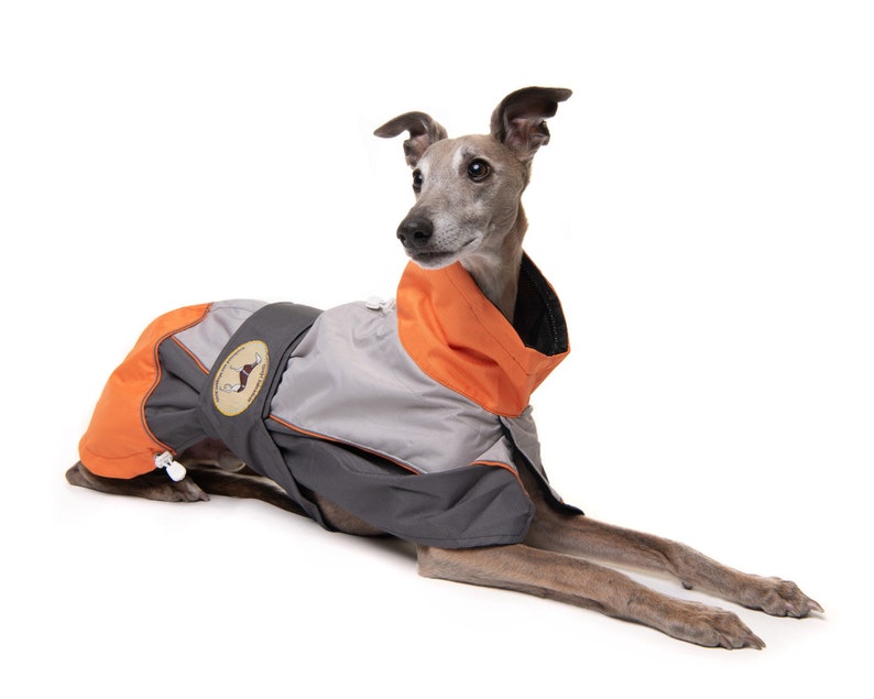 Greyhound Lurcher & Whippet Lightweight Waterproof Rain Coat/Jacket with chest bib, fully lined, Greyt Sweaters. Orange/Grey Colour image 2