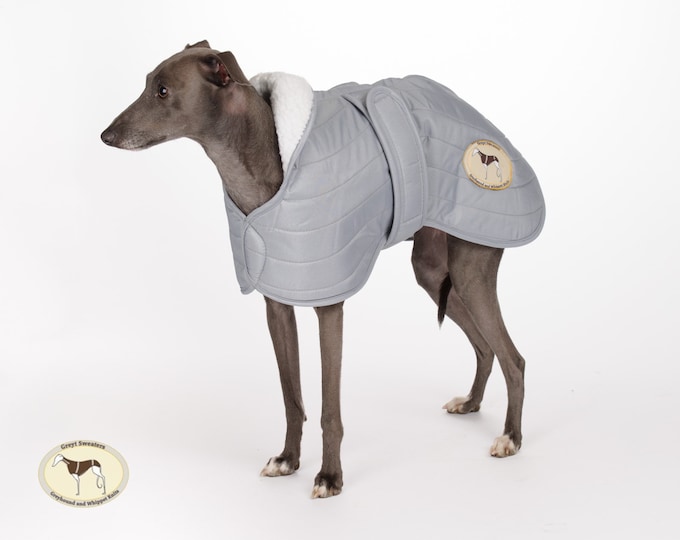 Italian Greyhound Quilted Coat, 13-14" Only, Waterproof Jacket, Fully lined, Greyt Sweaters. Light Grey with Cream faux sheepskin lining