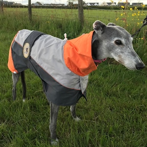 Greyhound Lurcher & Whippet Lightweight Waterproof Rain Coat/Jacket with chest bib, fully lined, Greyt Sweaters. Orange/Grey Colour image 8