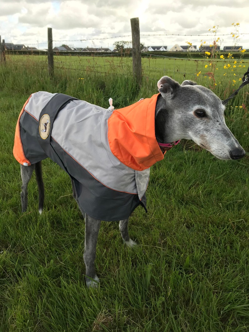 Greyhound Lurcher & Whippet Lightweight Waterproof Rain Coat/Jacket with chest bib, fully lined, Greyt Sweaters. Orange/Grey Colour image 8