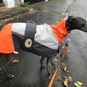 Greyhound Lurcher & Whippet Lightweight Waterproof Rain Coat/Jacket with chest bib, fully lined, Greyt Sweaters. Orange/Grey Colour image 7