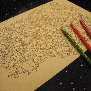 sugar skull and roses
