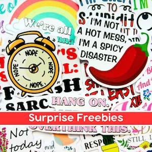 Lustige Sarkasmus Aufkleber, Edgy Snarky Aufkleber, Kühner Humor Vinyl Pack, Freche Einstellung Aufkleber, Laptop Wasserflasche Aufkleber, sarkastisches Geschenk