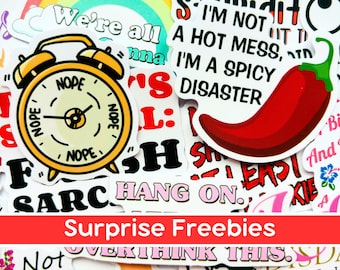 Funny Sarcasm Stickers, Edgy Snarky Decals, Bold Humor Vinyl Pack, Sassy Attitude Stickers, Laptop Waterbottle Mood Stickers, Sarcastic Gift