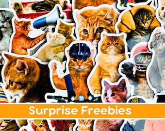 Funny cat sticker bundle, Ginger cat meme vinyl stickers, Fat cat stickers waterproof, Laptop sticker angry cat, Cat lover gift, Gray Cat