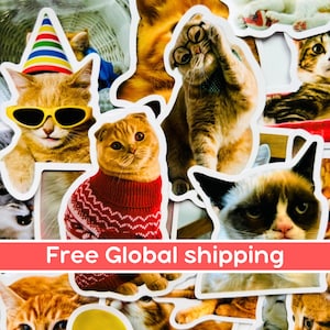 Pacote de adesivos meme de gato laranja, pacote de adesivos variados realistas para gatos, Memecat à prova d'água, presente para amantes de gatos, artigos de papelaria para gatos, decalque para garrafa de água