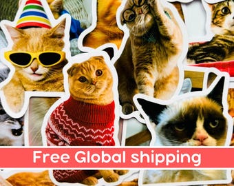 Orange Cat Meme Sticker Pack, Cat Realistic Assorted Sticker Bundle, WaterProof Memecat, Cat Lover Gift, Cat Stationery, Waterbottle Decal
