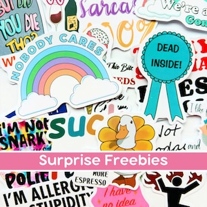 Lot de baguettes drôles de sarcasme, Stickers impertinents, dictons spirituels autocollants en vinyle, Stickers esthétiques pour ordinateur portable, humour sauvage, stickers citations audacieuses