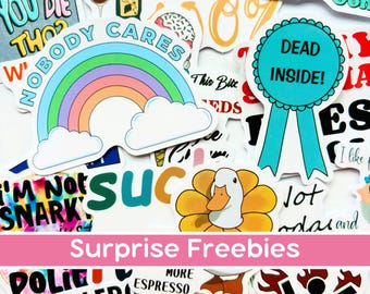 Funny Sarcasm Stick Pack, Sassy Decals, Witty Sayings Vinyl Stickers, Aesthetic Laptop Stickers, Savage Humor, Bold Quote Stickers