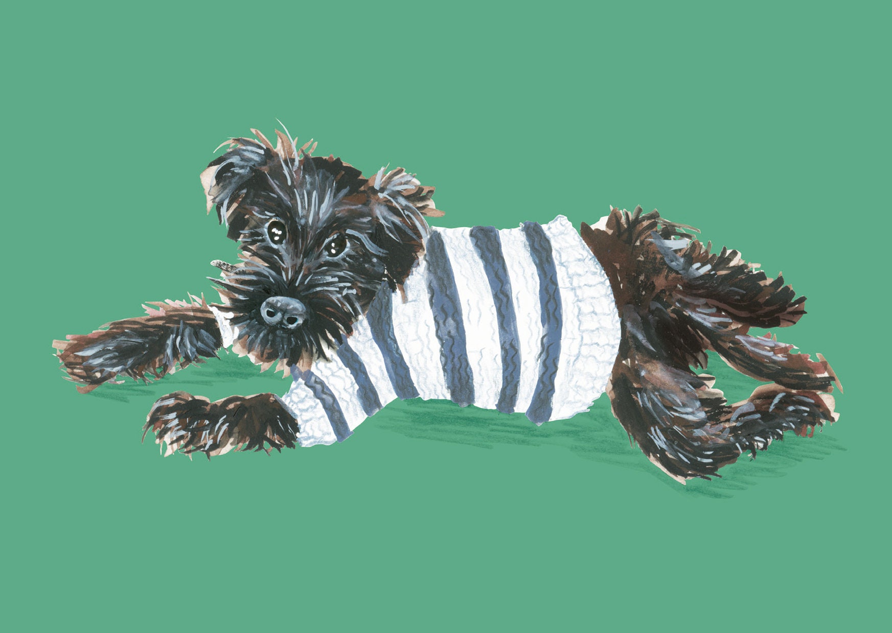 schnauzer jumper