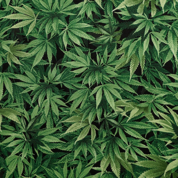 Cannabis Leaf by Timeless Treasures - 100% Cotton Print