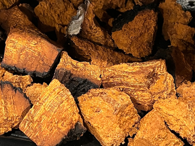 Alaska Chaga Fungus Tinder Bushcraft Flint & Steel Fire Etsy
