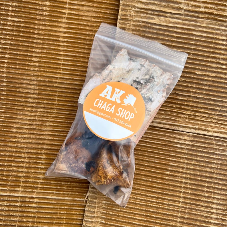 Alaska Chaga Fungus Tinder Bushcraft Flint & Steel Fire Etsy