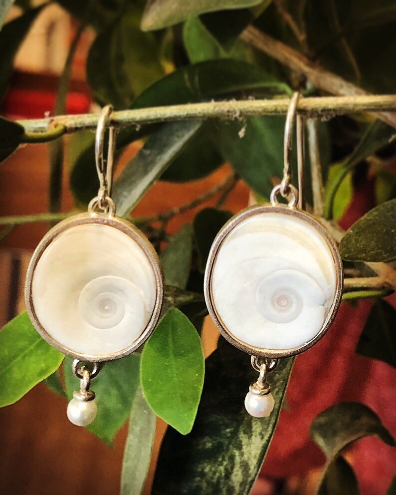 Shell Silver Earrings