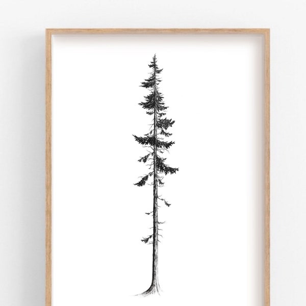 Western Red Cedar Printable // PNW Artwork // West Coast Nature // Coastal Tree Art Printable // BC Nature Art Print