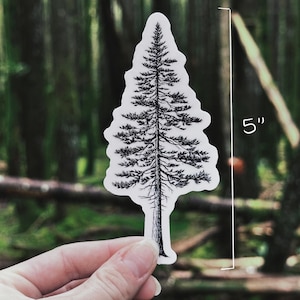 May include: A black and white sticker in the shape of a pine tree, approximately 5 inches tall. The sticker is held against a blurred background of a forest with green trees and brown branches.