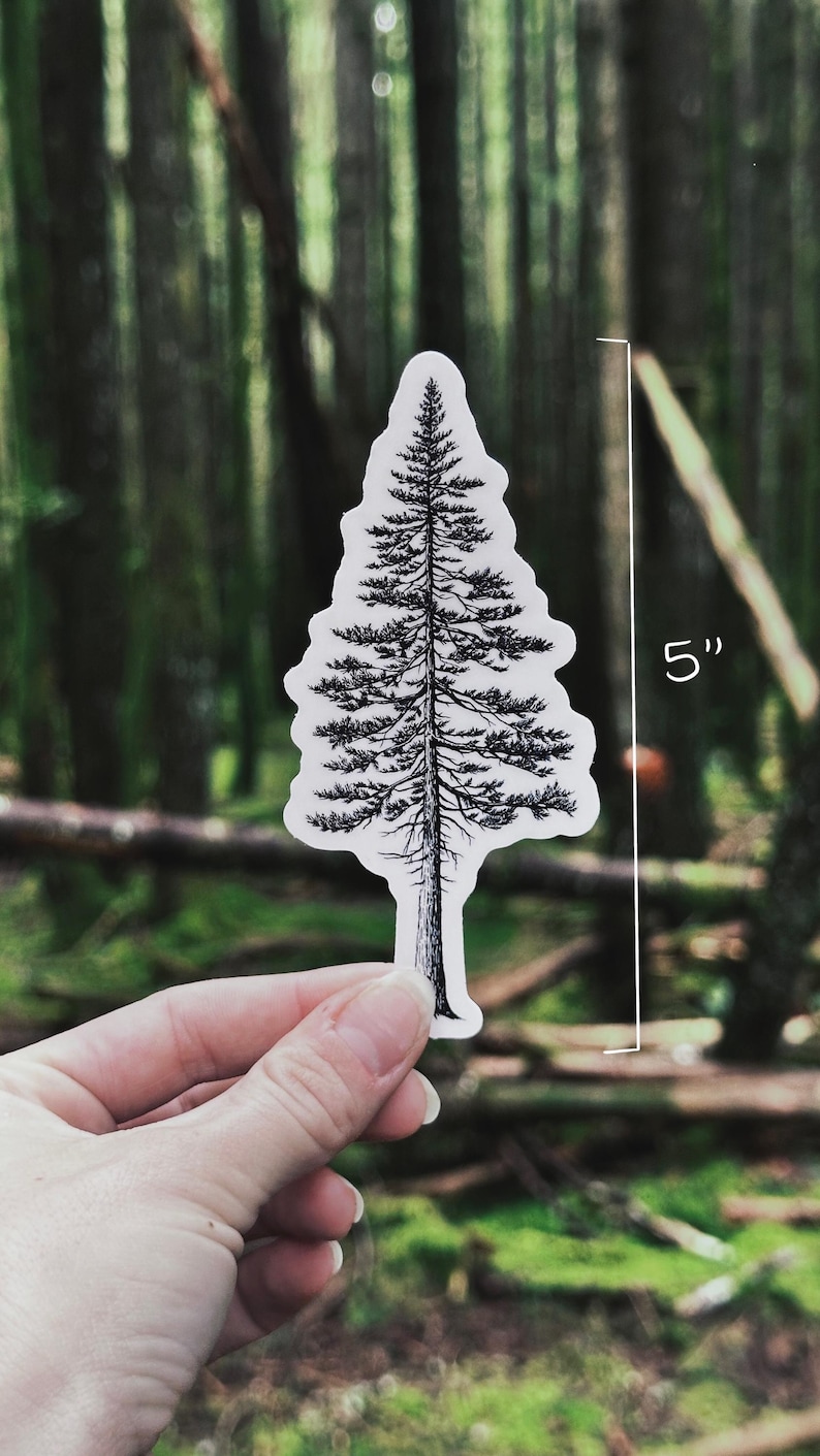 May include: A black and white sticker in the shape of a pine tree, approximately 5 inches tall. The sticker is held against a blurred background of a forest with green trees and brown branches.
