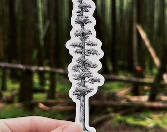 Giant Sequoia Vinyl Sticker: Waterproof Tree Decal, Gift for Nature Lovers