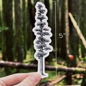 May include: A black and white sticker of a tall tree, approximately 5 inches in height. The sticker is held in front of a blurred forest background. The tree illustration has detailed branches and foliage.