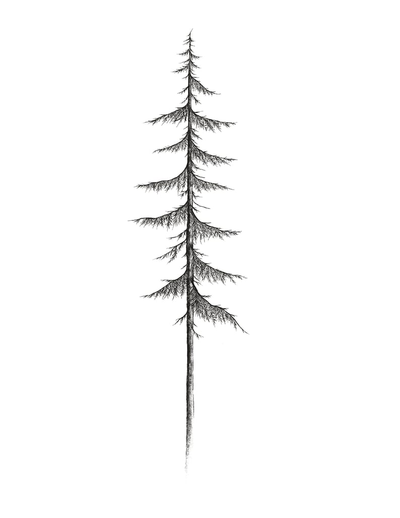 Narrow Pine 8x10 Printable// West Coast Tree Collection// PNW Artwork// Mountains and Trees// Digital PNW Print// image 4