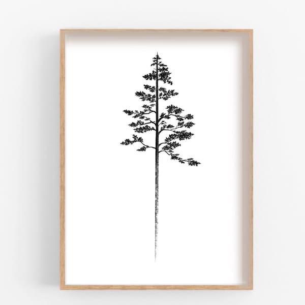 White Pine Digital Print | PNW Printable Art | Pacific Northwest Art | Van Life Art | Boho Forest Print | Minimalism Artwork |