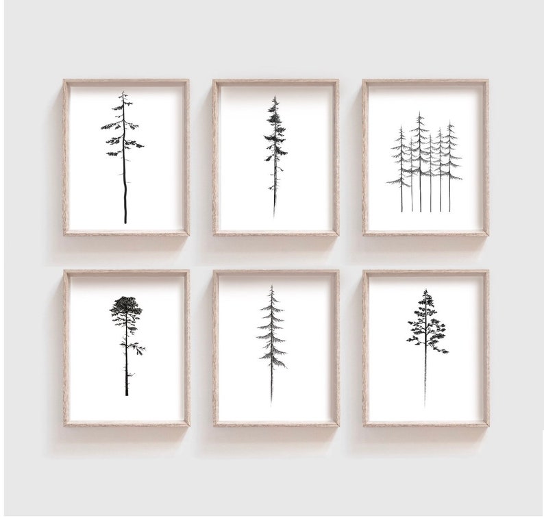 Narrow Pine 8x10 Printable// West Coast Tree Collection// PNW Artwork// Mountains and Trees// Digital PNW Print// image 3