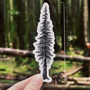 May include: A black and white sticker of a tall tree, approximately 5 inches in height, held against a blurred forest background. The tree illustration is detailed, showing the trunk, branches, and needles. The sticker is held by a hand.