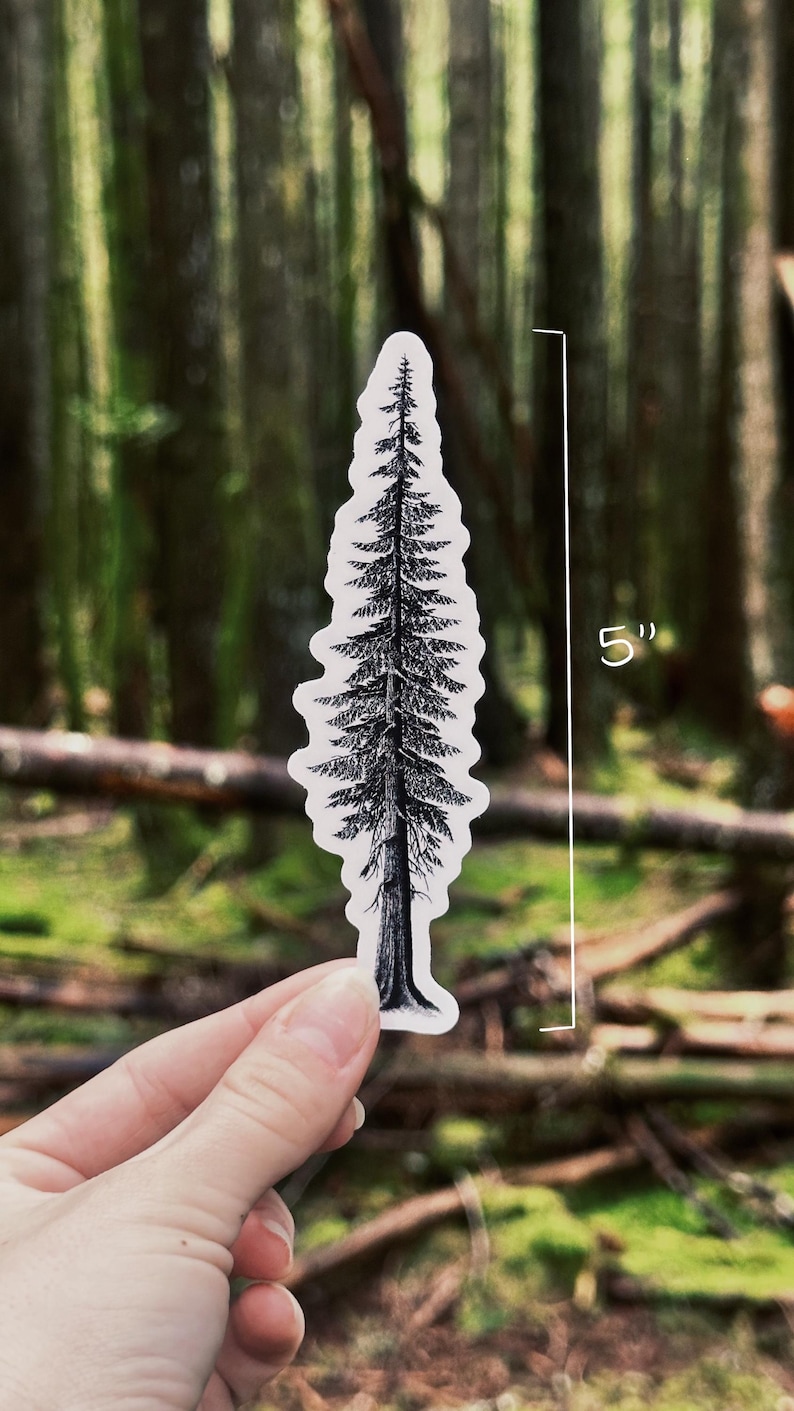 May include: A black and white sticker of a tall tree, approximately 5 inches in height, held against a blurred forest background. The tree illustration is detailed, showing the trunk, branches, and needles. The sticker is held by a hand.