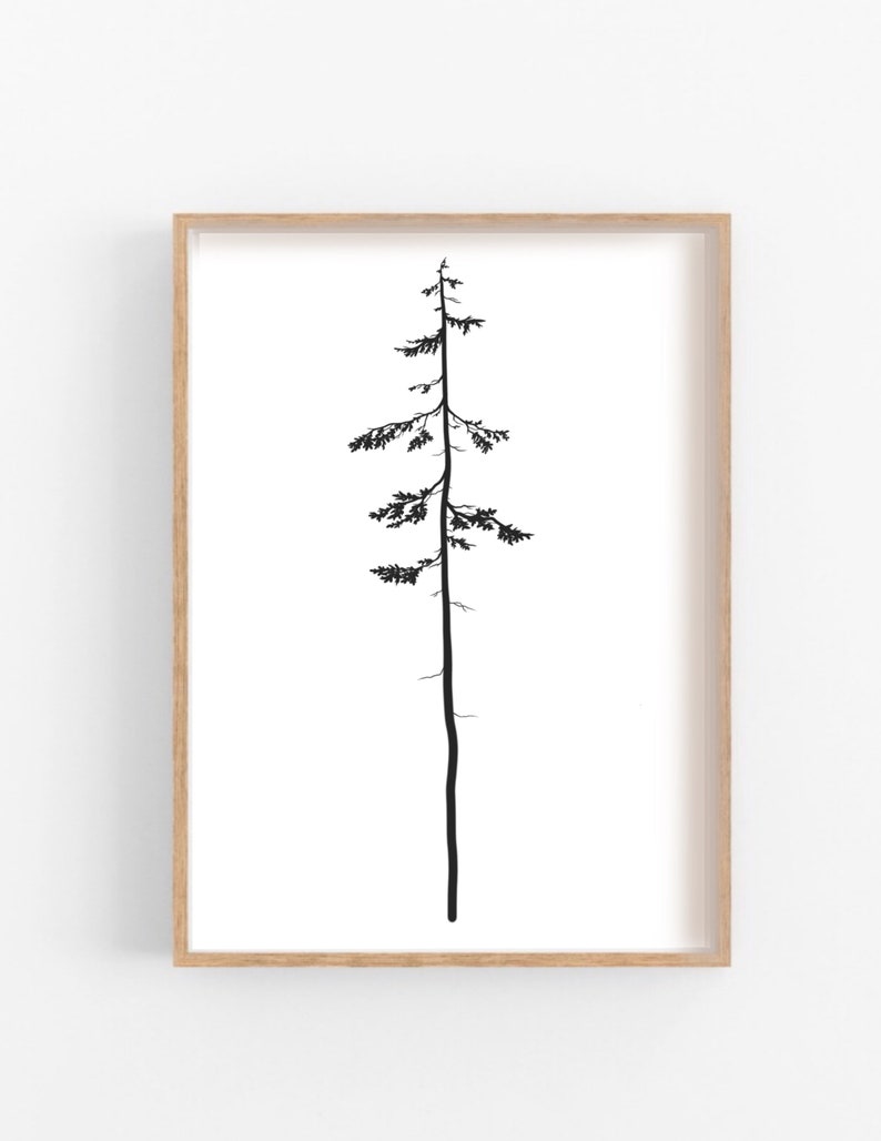 Western Hemlock 8x10 Printable// PNW Digital Poster// West Coast Artwork// Forest Trees Art// Minimalistic Artwork// Van Life Art// Cottage image 1