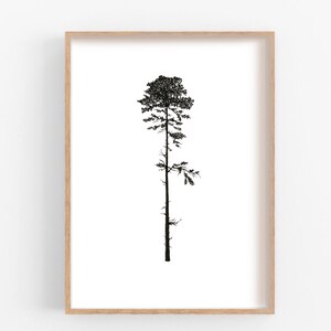 Douglas Fir 8x10 Printable// PNW Poster Art// West Coast Tree ...